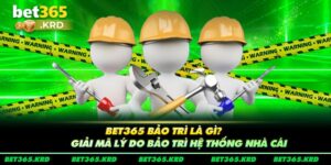 Bet365 Bảo Trì Là Gì? Giải Mã Lý Do Bảo Trì Hệ Thống Nhà Cái