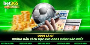 Odds là gì - Hướng dẫn cách đọc kèo odds chính xác nhất