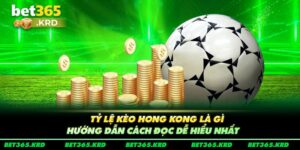 Tỷ Lệ Kèo Hong Kong Là Gì, Hướng Dẫn Cách Đọc Dễ Hiểu 2024